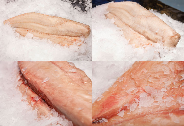 Frozen fish and seafood from Spain, High Quality Sea Products  [Asturpesca]
